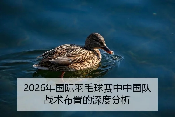 2026年国际羽毛球赛中中国队战术布置的深度分析