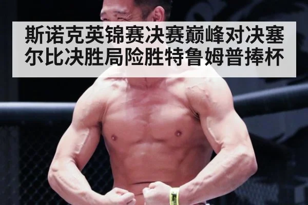 斯诺克英锦赛决赛巅峰对决塞尔比决胜局险胜特鲁姆普捧杯